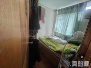 天盛苑 盛昭閣 (B座) - 28NTS – 香港北部都會區
