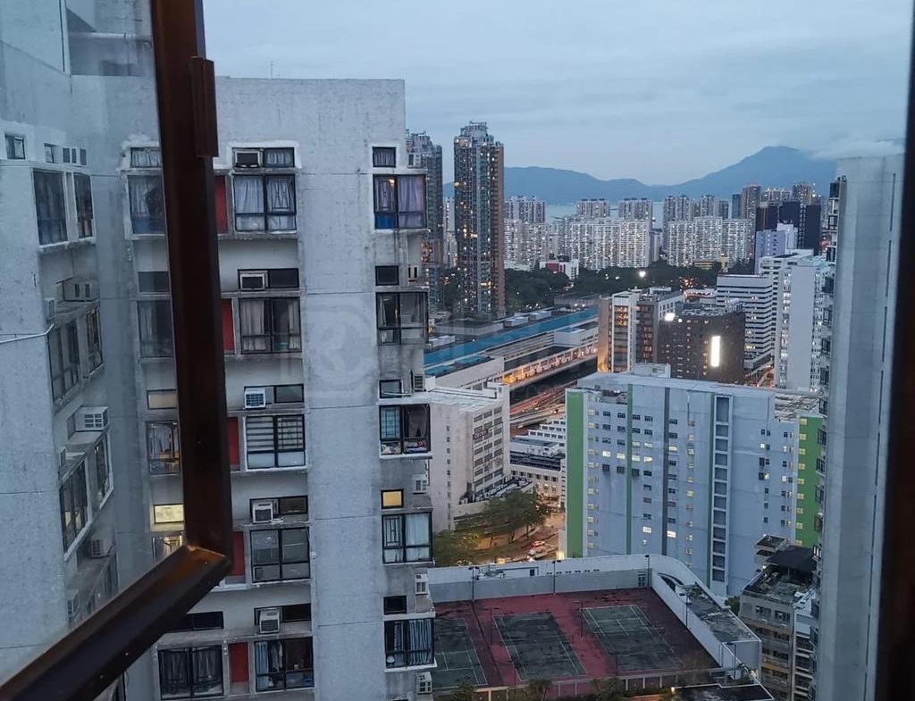 大興花園 2期 1座 - 28NTS – 香港北部都會區