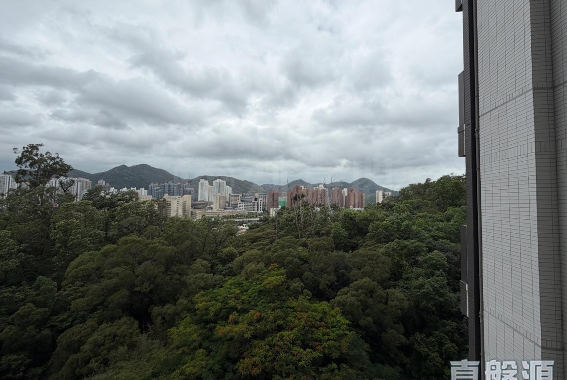 御半山 2期 2A座 - 28NTS – 香港北部都會區