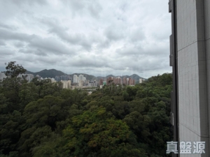 御半山 2期 2A座 - 28NTS – 香港北部都會區