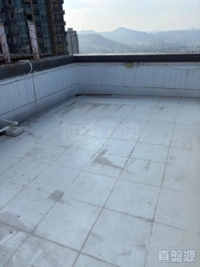 新元朗中心 1座 - 28NTS – 香港北部都會區