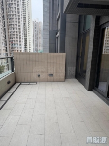 YOHO WEST 1期 3B座 - 28NTS – 香港北部都會區