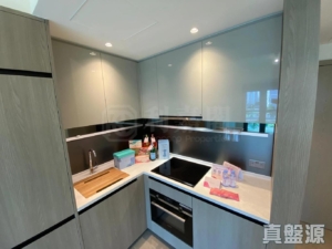 WETLAND SEASONS PARK 1期 16座 - 28NTS – 香港北部都會區