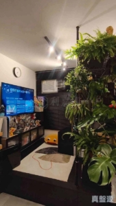 青富苑 B座 - 28NTS – 香港北部都會區
