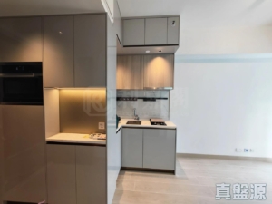 黃金海灣 1期 意嵐 5B座 - 28NTS – 香港北部都會區