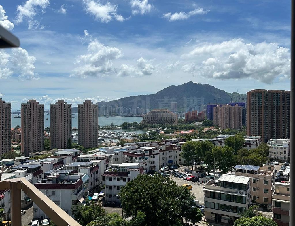 飛揚 1期 1座 - 28NTS – 香港北部都會區