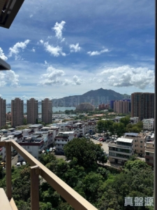 飛揚 1期 1座 - 28NTS – 香港北部都會區