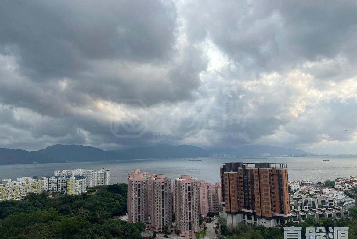 飛揚 1期 1座 - 28NTS – 香港北部都會區