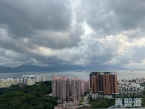 飛揚 1期 1座 - 28NTS – 香港北部都會區
