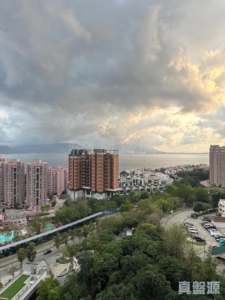 飛揚 1期 1座 - 28NTS – 香港北部都會區