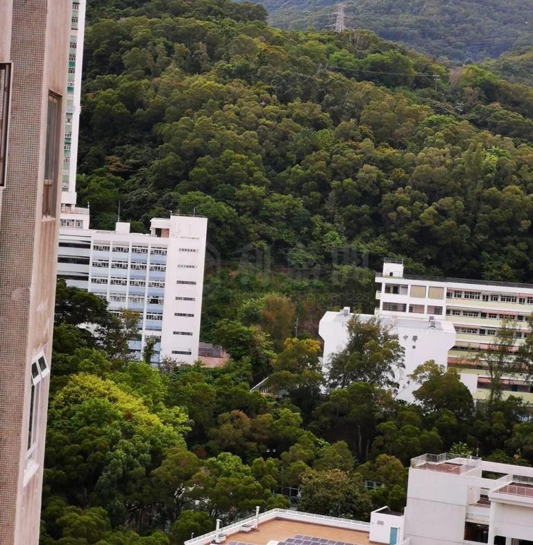 荃德花園 B座 - 28NTS – 香港北部都會區