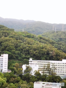 荃德花園 B座 - 28NTS – 香港北部都會區