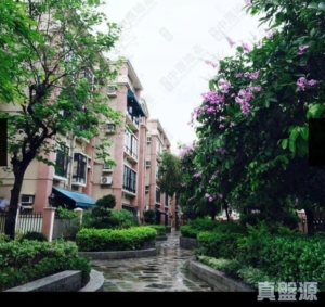 金碧花園 7座 - 28NTS – 香港北部都會區