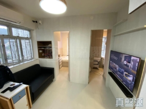 沙田中心 佳寧大廈 (C座) - 28NTS – 香港北部都會區
