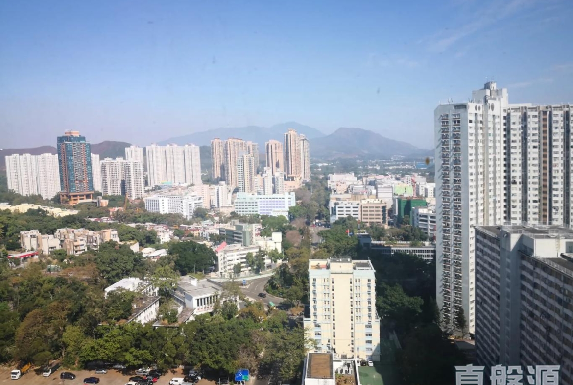 粉嶺名都 富臨閣 (6座) - 28NTS – 香港北部都會區