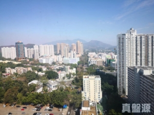粉嶺名都 富臨閣 (6座) - 28NTS – 香港北部都會區