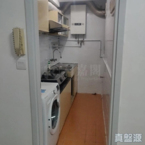 沙田第一城 4期 41座 - 28NTS – 香港北部都會區