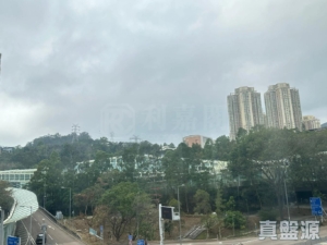 17817069276ab953df-b1db-4178-936c-b3e4adb9430d.jpeg 金禧花園 1座 - 28NTS – 香港北部都會區