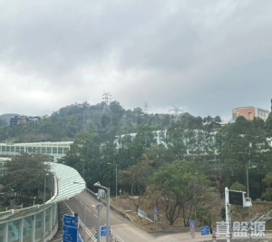 17817069303ad34f0d-f168-4036-b818-1d7515873d0a.jpeg 金禧花園 1座 - 28NTS – 香港北部都會區