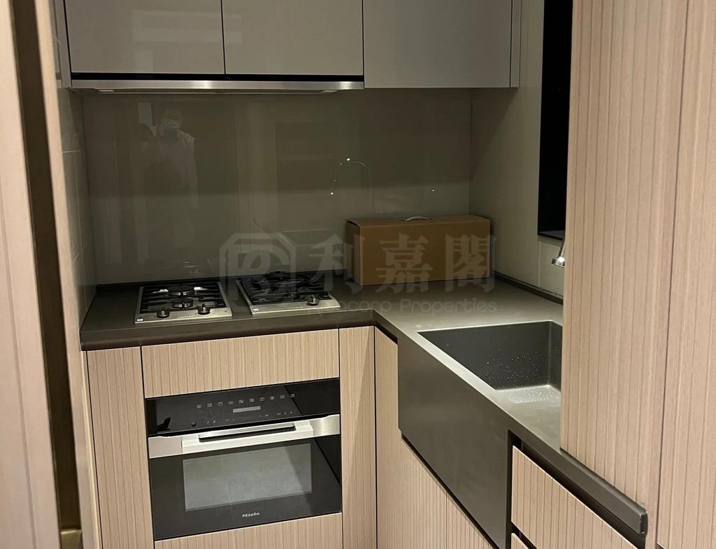 柏傲莊 2期 6座 (6B) - 28NTS – 香港北部都會區