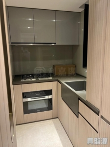 柏傲莊 2期 6座 (6B) - 28NTS – 香港北部都會區