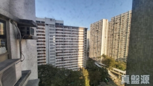 粉嶺名都 百利閣 (2座) - 28NTS – 香港北部都會區