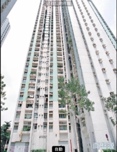 怡雅苑 怡厚閣 (C座) - 28NTS – 香港北部都會區
