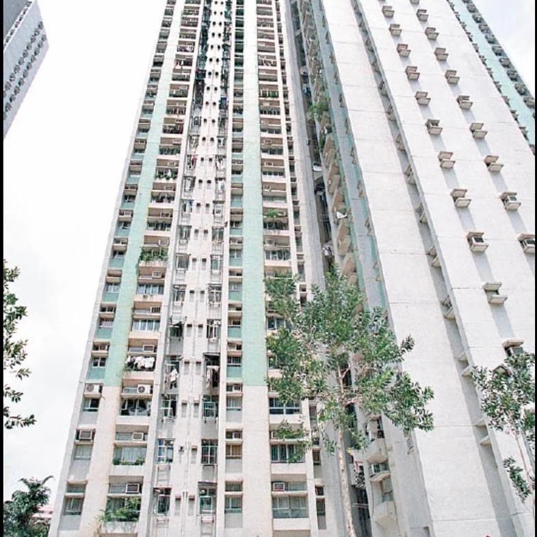 怡雅苑 怡厚閣 (C座) - 28NTS – 香港北部都會區