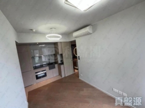 柏傲莊 2期 6座 (6B) - 28NTS – 香港北部都會區