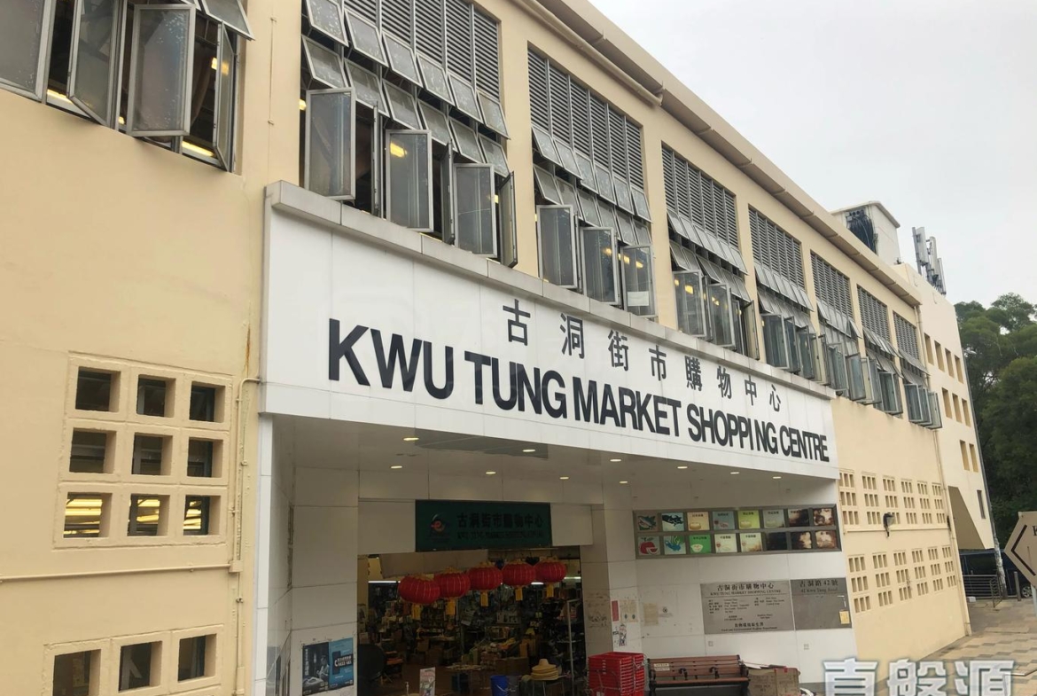 天巒 - 28NTS – 香港北部都會區
