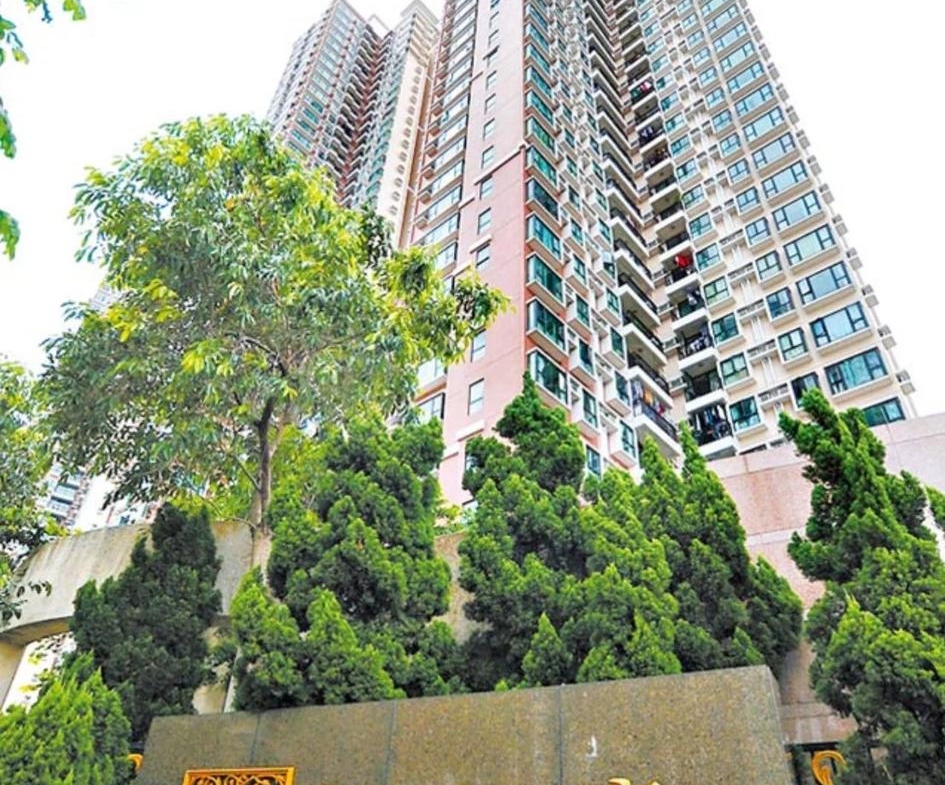 御皇庭 3座 - 28NTS – 香港北部都會區