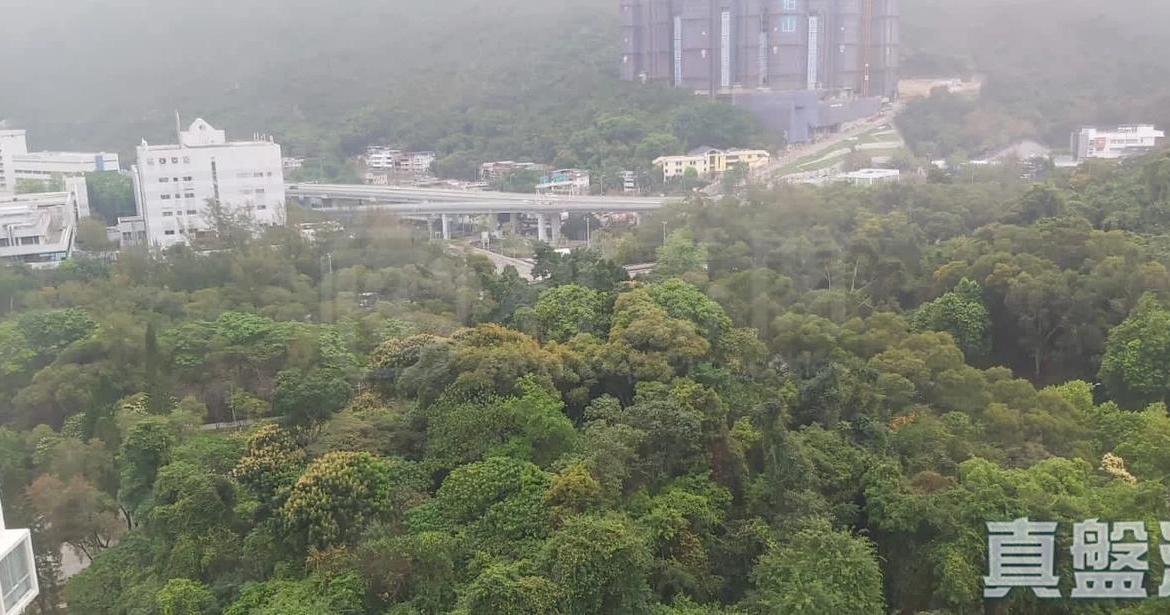 花園城 3期 雅蘭苑 (B座) - 28NTS – 香港北部都會區
