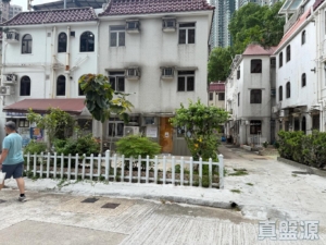 1781715044b35befd6-1d41-4280-b646-e24443cdb263.jpeg 沙田田心村 181號 - 28NTS – 香港北部都會區
