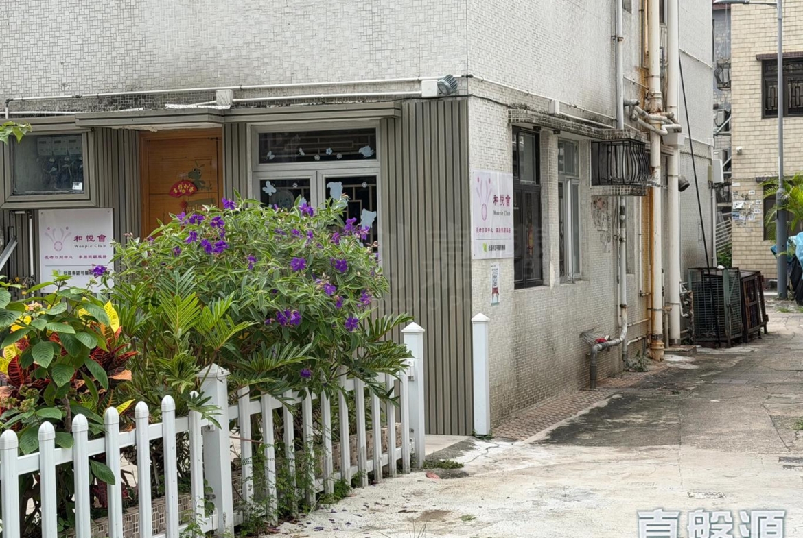 沙田田心村 181號 - 28NTS – 香港北部都會區