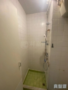 美城苑 逸城閣 (B座) - 28NTS – 香港北部都會區