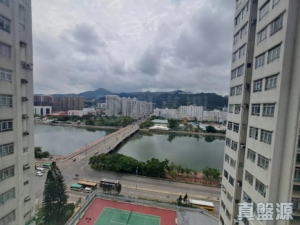 河畔花園 B座 - 28NTS – 香港北部都會區