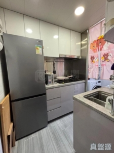 錦龍苑 龍悅閣 (A座) - 28NTS – 香港北部都會區