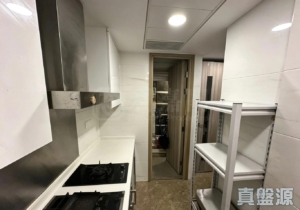 星漣海 2A座 - 28NTS – 香港北部都會區