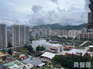 1781719529c73b2a20-626d-4d4d-b6ef-3b0ae2c4c29a.jpeg 偉華中心 4座 - 28NTS – 香港北部都會區