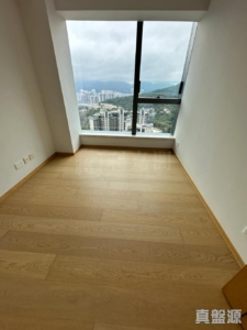駿嶺薈 1座 - 28NTS – 香港北部都會區