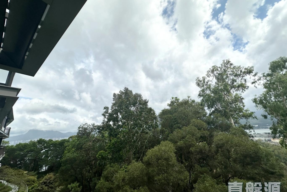 林海山城 - 28NTS – 香港北部都會區