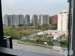 SILICON HILL 1期 翠景閣 第2座 - 28NTS – 香港北部都會區