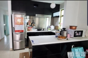華樂豪庭 洋房 10 - 28NTS – 香港北部都會區