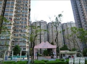 太湖花園 1期 7座 - 28NTS – 香港北部都會區