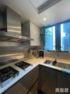 雲海 1期 Cedar Court 2座 - 28NTS – 香港北部都會區
