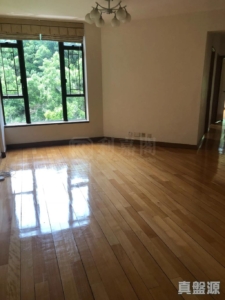 大埔寶馬山 8座 - 28NTS – 香港北部都會區