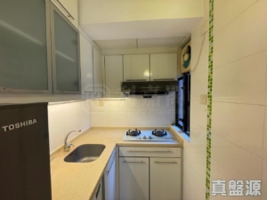 新港城 4期 K座 - 28NTS – 香港北部都會區