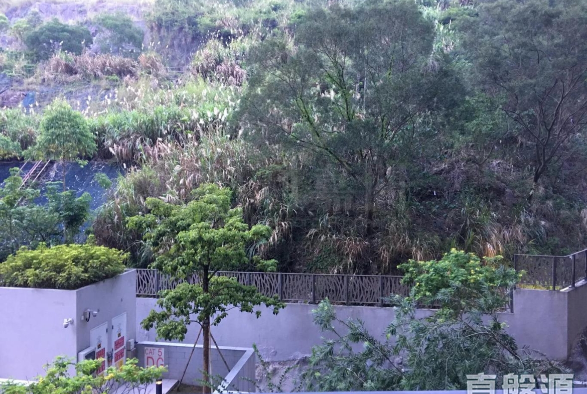 玖瓏山 日瓏閣 第2座 - 28NTS – 香港北部都會區