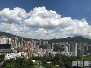 新達廣場 5座 - 28NTS – 香港北部都會區
