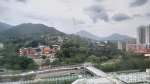 粉嶺名都 百利閣 (2座) - 28NTS – 香港北部都會區